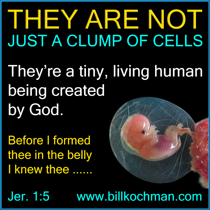 Abortion * Children * Pregnancy Graphic 18