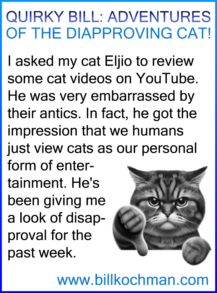 Quirky Bill: Adventures of the Disapproving Cat